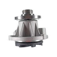 6.0 water pump
