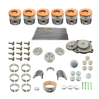 Rebuild/Overhaul Kit