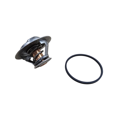 Murray Plus 205 Degree Thermostat 94-97