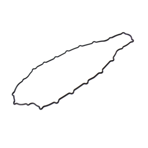 International Lower Oil Pan Gasket