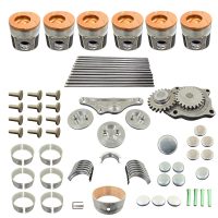 Rebuild/Overhaul Kit